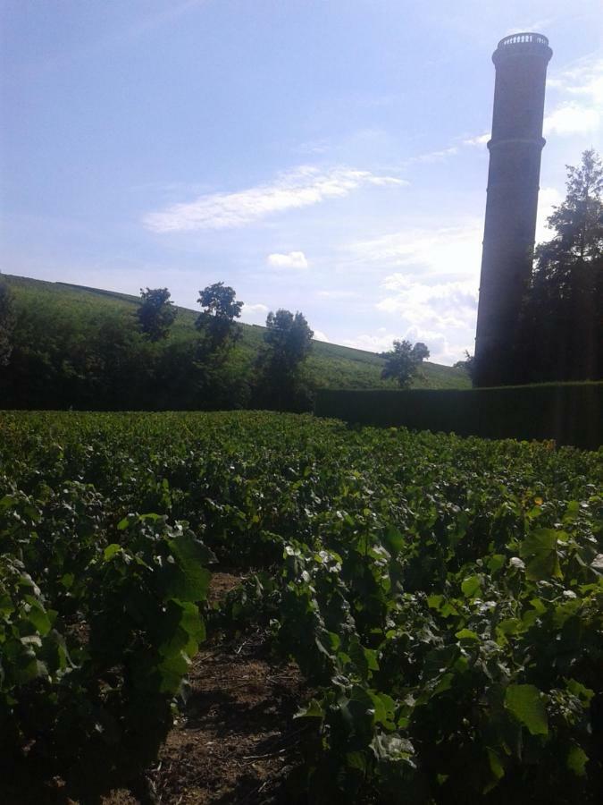 La Maison Des Vignes Charentay Exterior photo