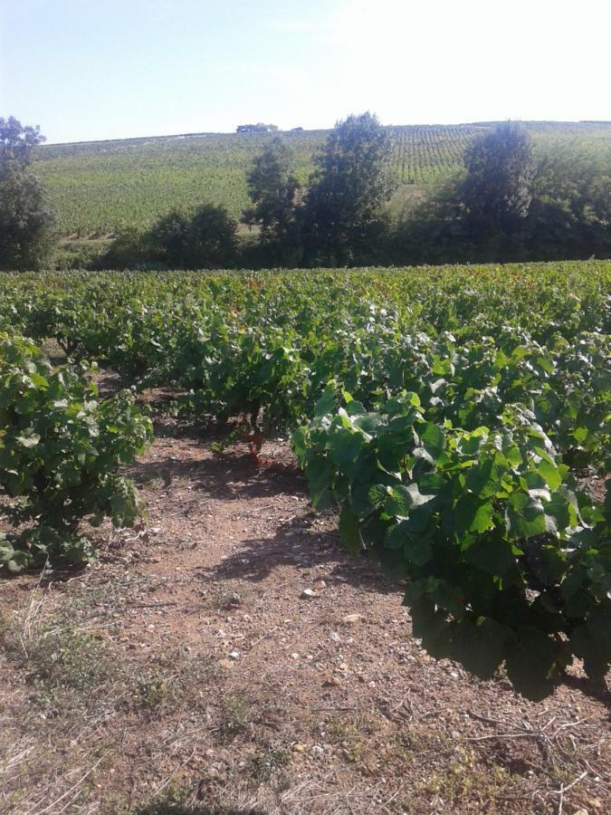 La Maison Des Vignes Charentay Exterior photo