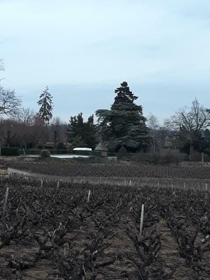 La Maison Des Vignes Charentay Exterior photo