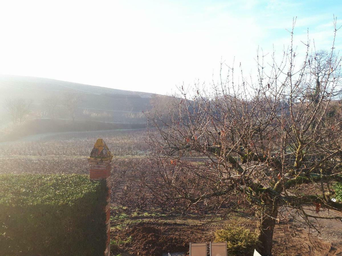 La Maison Des Vignes Charentay Exterior photo