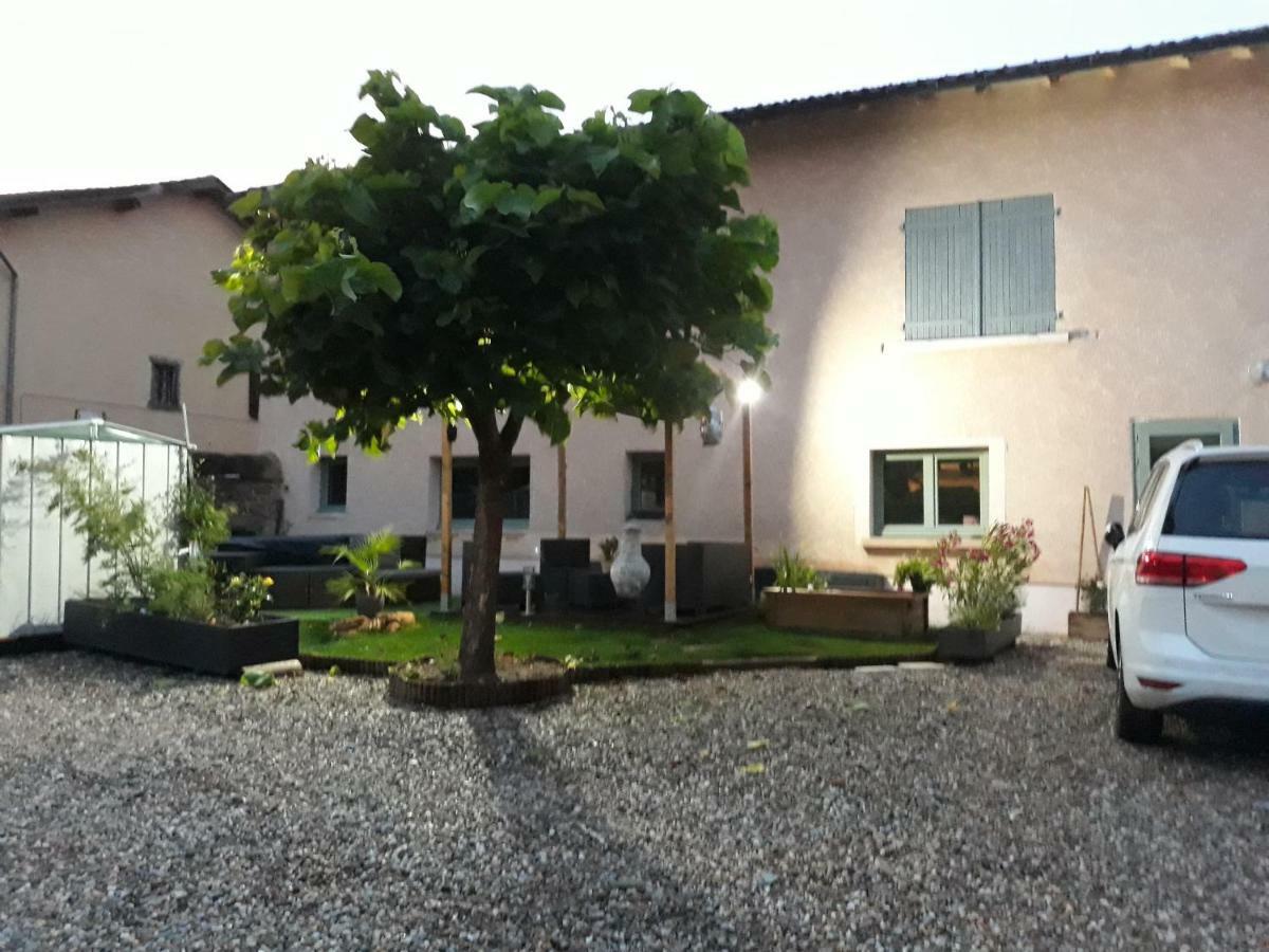 La Maison Des Vignes Charentay Exterior photo